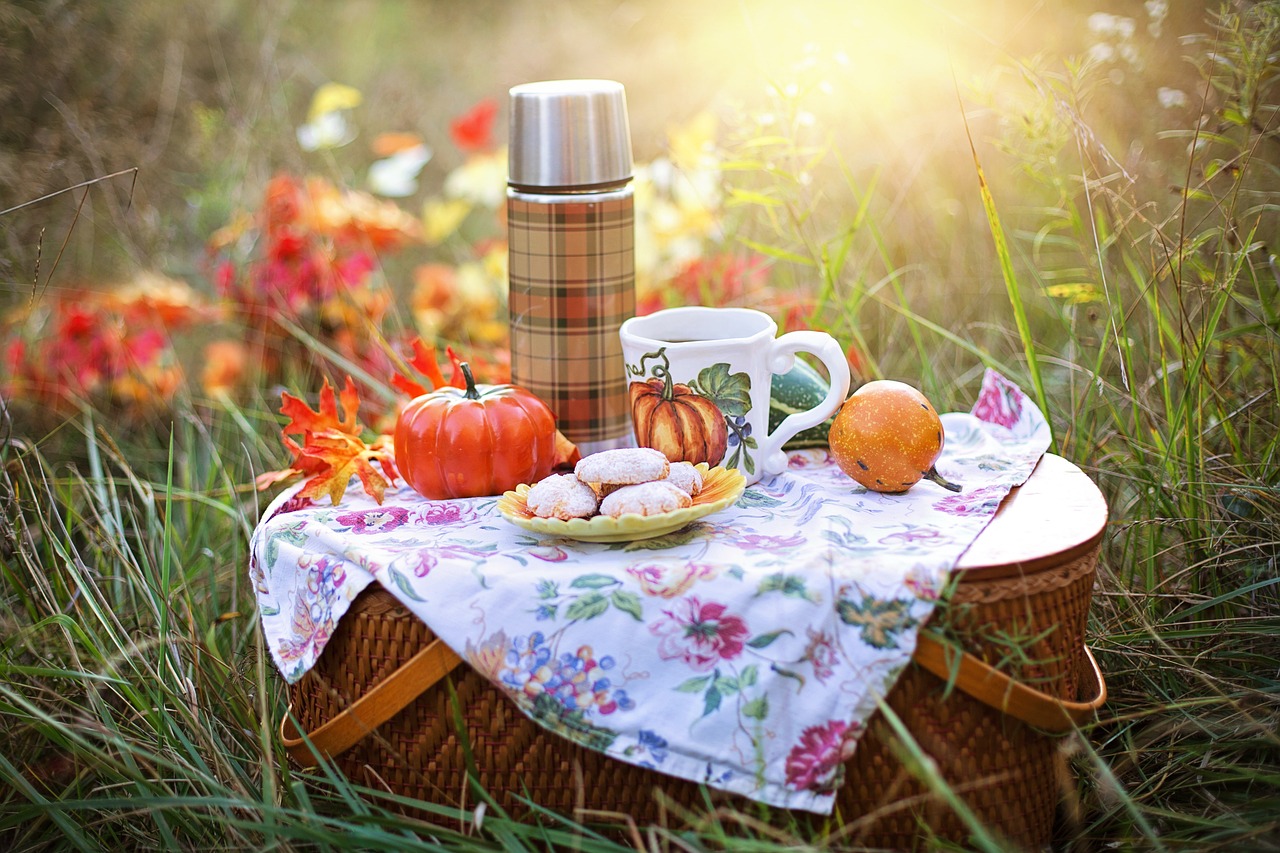 A picnic basket in the grass