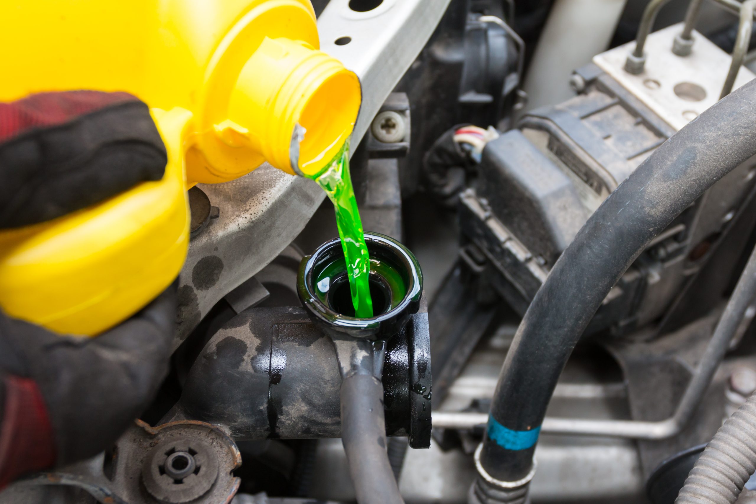 Coolant being poured into a vehicle