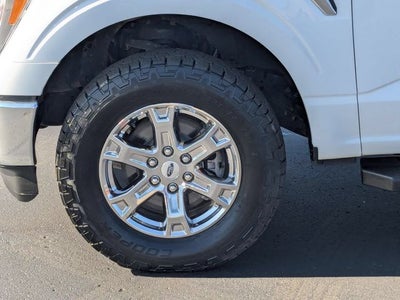 2023 Ford F-150 Base
